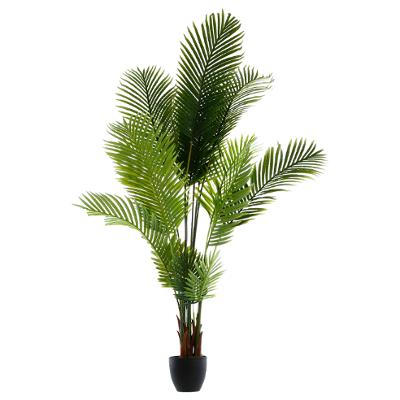 Plante artificielle palmier H180