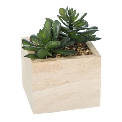 Fausse plante verte pot en bois H12 N°3