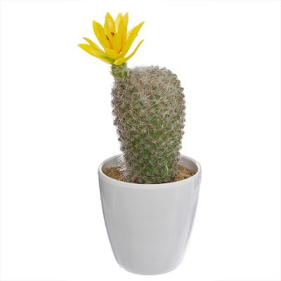 Cactus artificiel en pot H10
