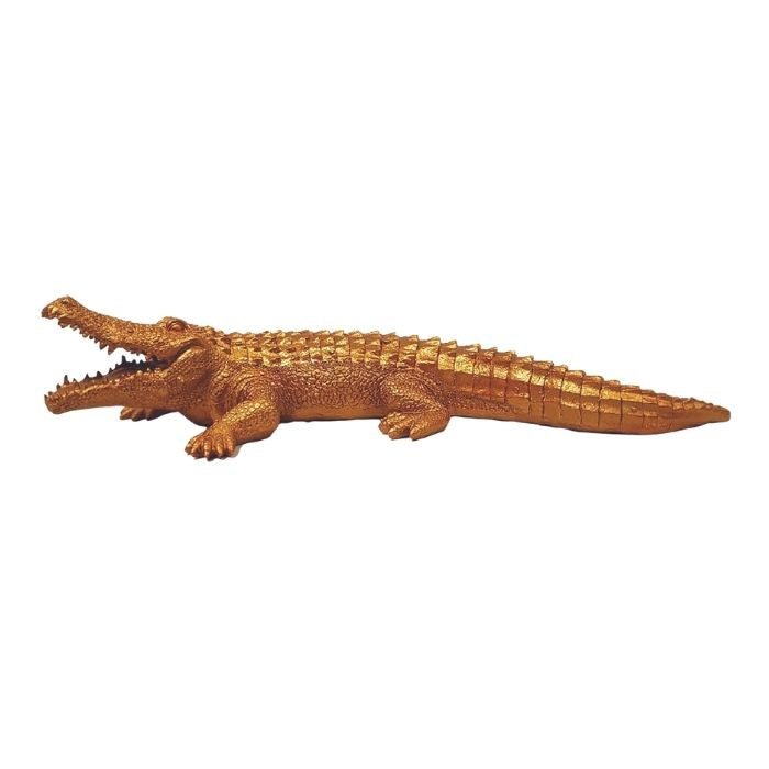 Crocodile doré L60