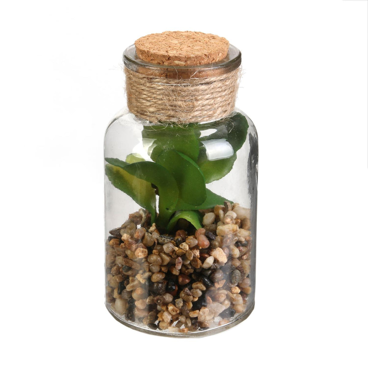 Fiole plante H13 N°2