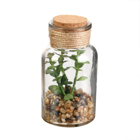 Fiole plante H13 N°3