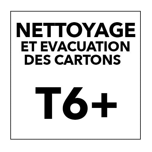 NETTOYAGE T6 et +