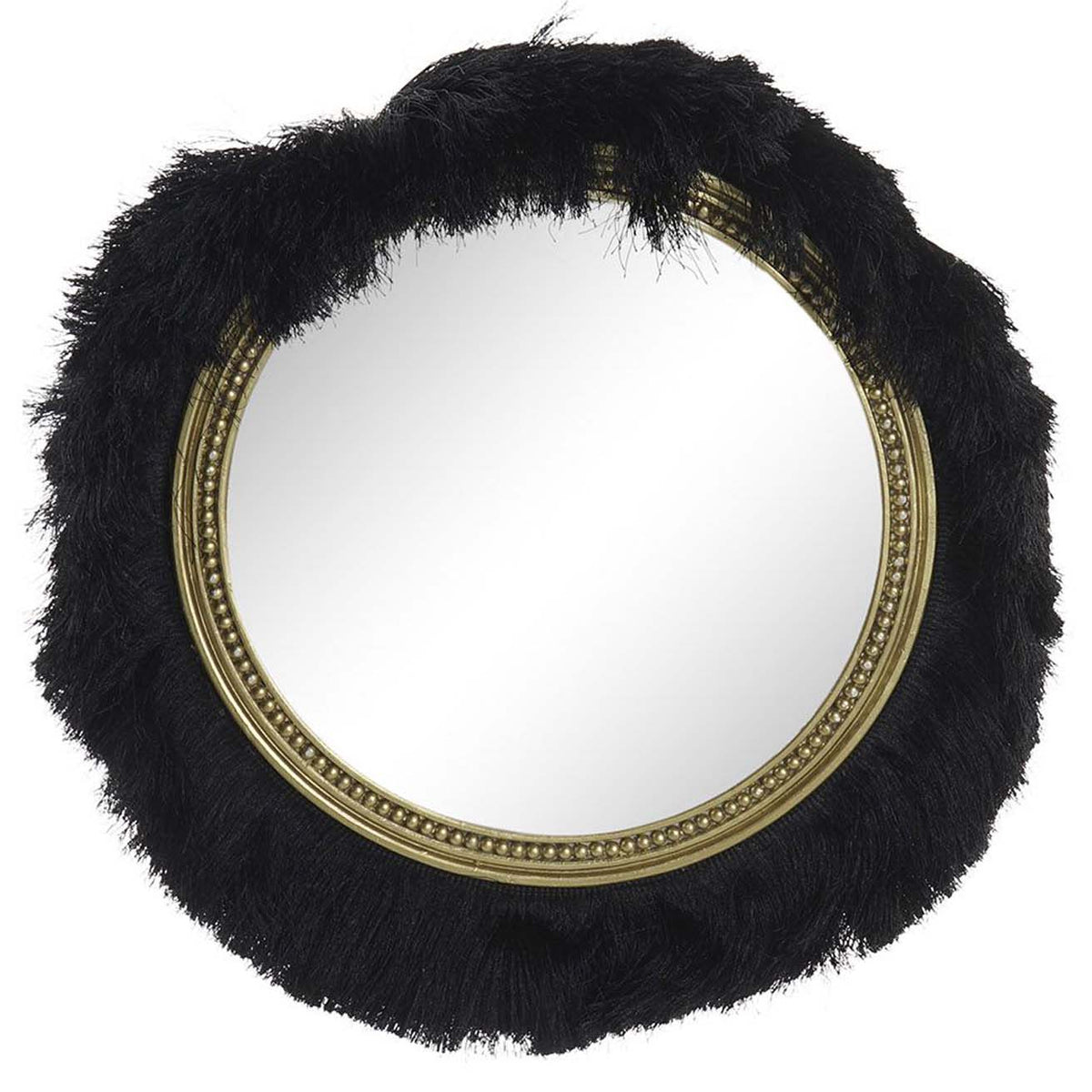Miroir noir poil D40