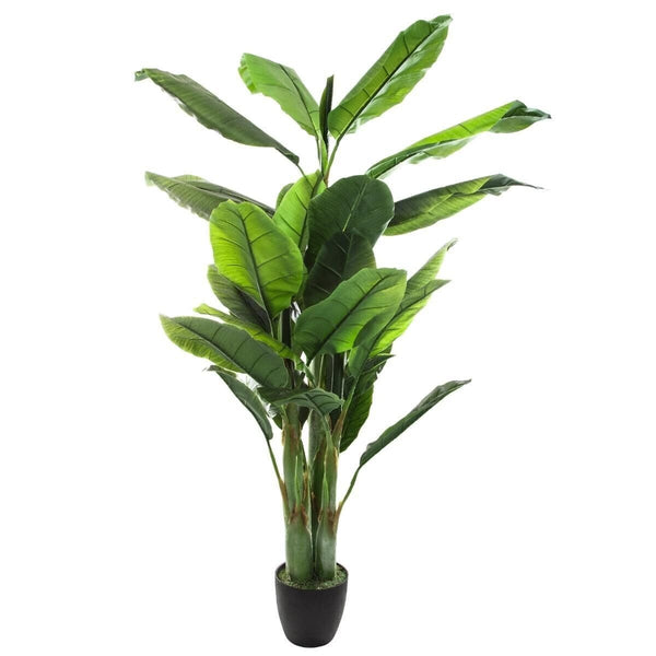 Grand bananier artificiel H175 sur pot