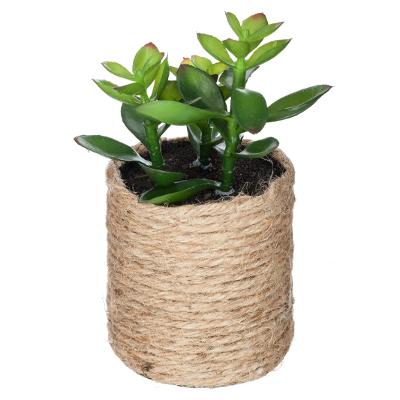 Plante Artificiel pot corde H16 N°1