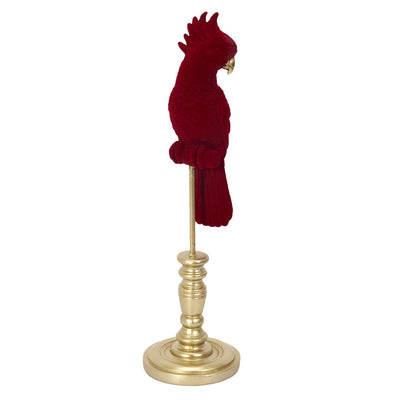 Perroquet rouge velours et doré H37