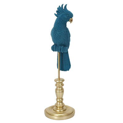 Perroquet bleu velour et doré H37