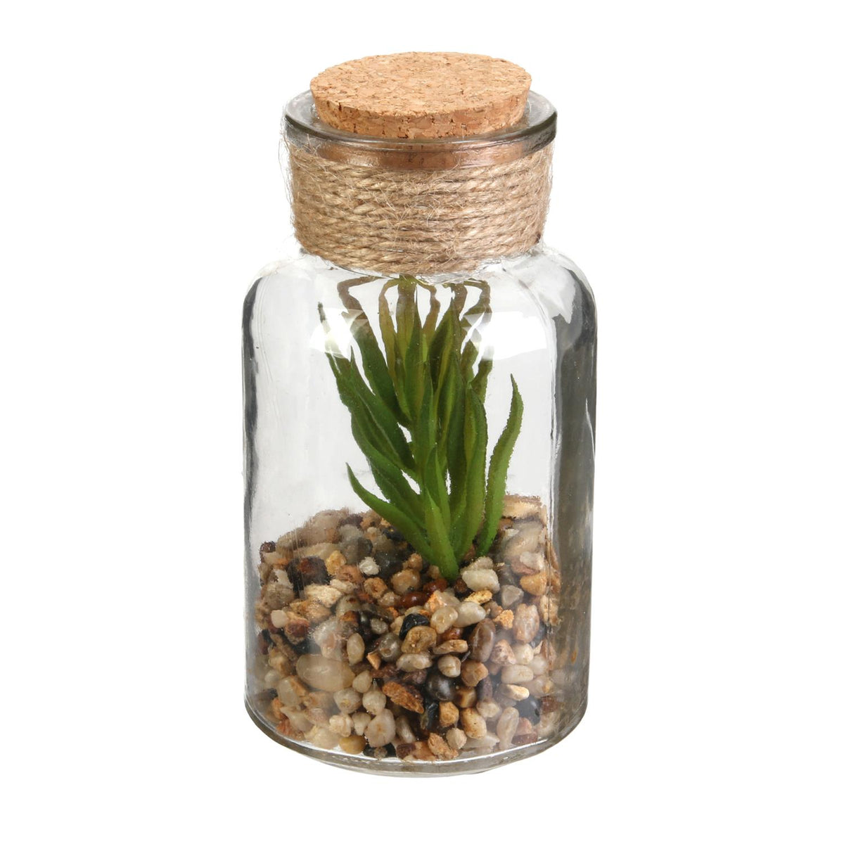 Fiole plante H13 N°1