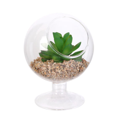 '@Verre a pied plante H13 N°1