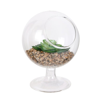 '@Verre a pied plante H13 N°3