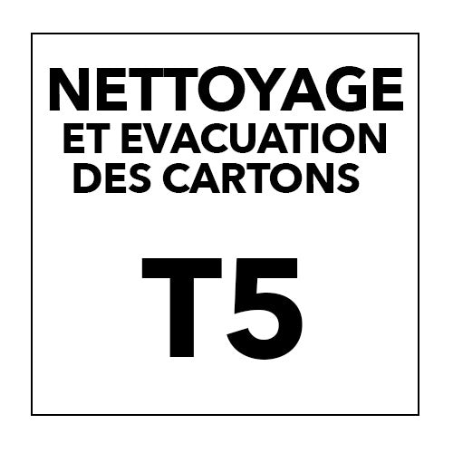 NETTOYAGE T5