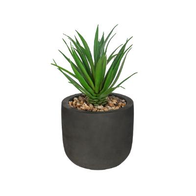 Fausse plante verte pot en ciment H20 N°1