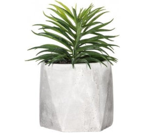 Vase 2 avec plante verte H20