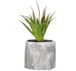 Vase 3 avec plante verte H20