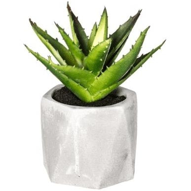 Vase 1 avec plante verte H20